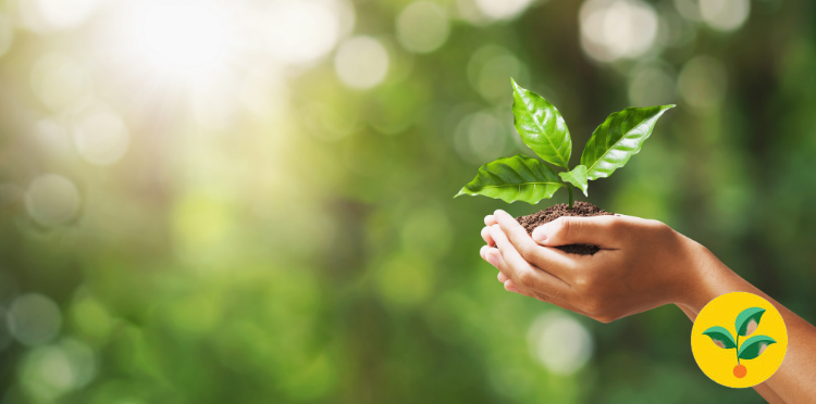 Roślinne ryby i wsparcie dla seniorów